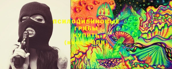 меф Вяземский