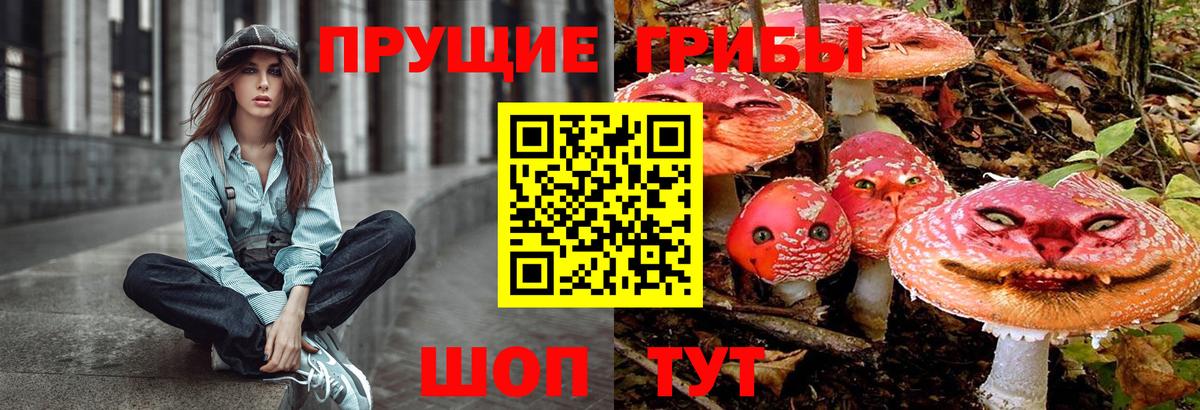 Находка  Псилоцибиновые грибы GOLDEN TEACHER  Вход с VPN  Галлюциногенные грибы Cubensis 