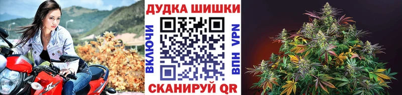 это телеграм Находка Бошки Шишки семена как найти закладки